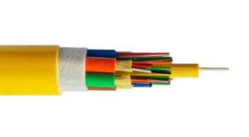 Indoor single-mode branch cable