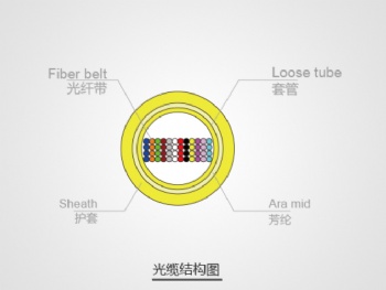 Indoor optical fiber with optical cable GJFDV